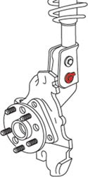 Camber Bolts (14mm)